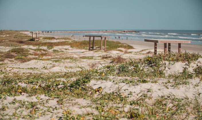 Picnic pavilions at Mustang Island state park